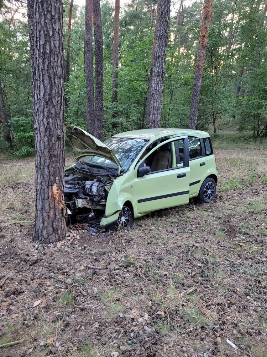 Bez prawa jazdy i pod wpływem alkoholu. 23-latek wjechał autem w drzewo
