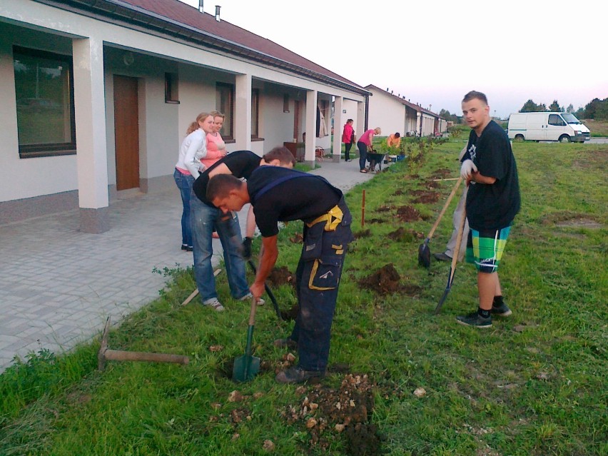 Program Aktywności Lokalnej w Zawierciu. Obsadzili zielenią budynki socjalne