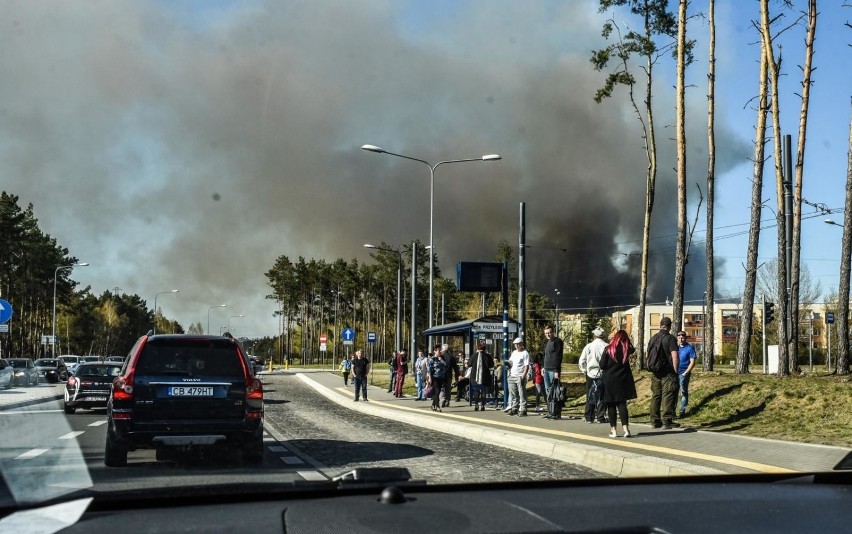 Pożar lasu w okolicach Doliny Śmierci w Fordonie. Zapalił...