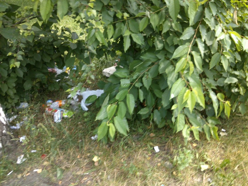 Poznańskie osiedla toną w śmieciach