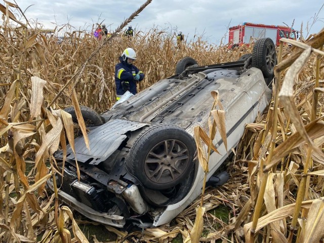 Samochód wypadł z drogi i dachując, zatrzymał się w polu kukurydzy
