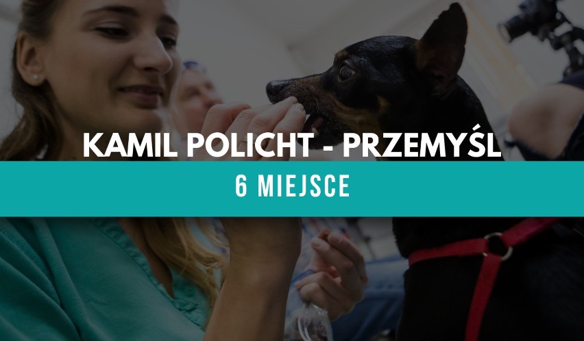 TOP 6 najpopularniejszych weterynarzy w Przemyślu i okolicy [WYBÓR INTERNAUTÓW]