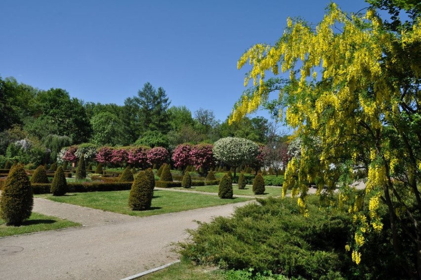 Oficyna OKL Gołuchów będzie udostępniona zwiedzającym od wtorku. Ogród ziołowo-kwiatowy jest już otwarty ZDJĘCIA