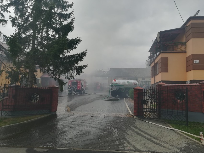 Duży pożar w Szynwałdzie w powiecie grudziądzkim. Płonęła stodoła [wideo, zdjęcia]