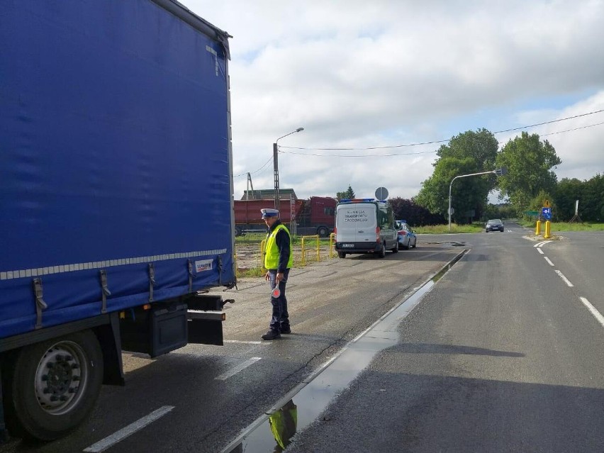 Policjanci i inspektorzy ITD sprawdzali kierowców ciężarówek w powiecie radziejowskim [zdjęcia]