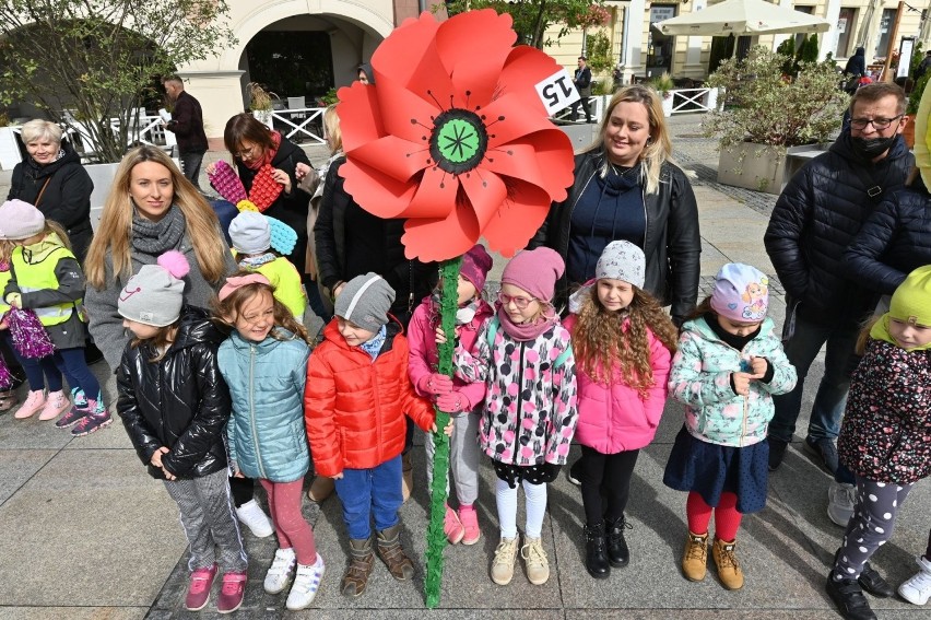 Festiwal Wiatru w Kielcach. Kolorowe wiatraki opanowały kielecki Rynek. Wybrano te najpiękniejsze (ZDJĘCIA)