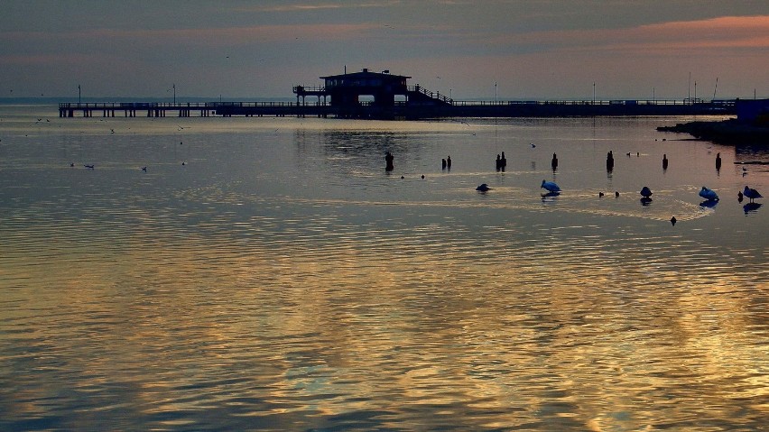 Foto powiat pucki: wschód Słońca nad Zatoką Pucką