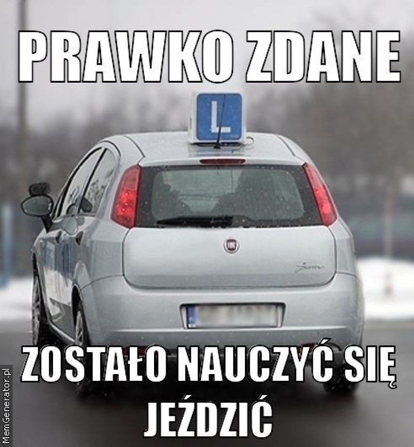 Prawo jazdy w krzywym zwierciadle. Zobacz najlepsze MEMY!