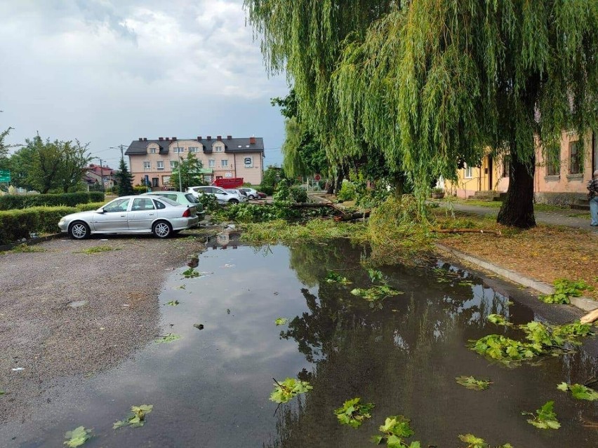 Nawałnica w Bolimowie - połamane drzewa i zerwane linie...