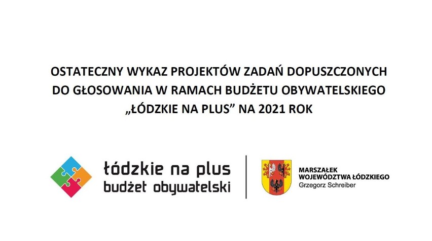 Budżet Obywatelski Łódzkie na Plus. Ruszyło głosowanie. Zobacz projekty mieszkańców powiatu wieluńskiego! GALERIA