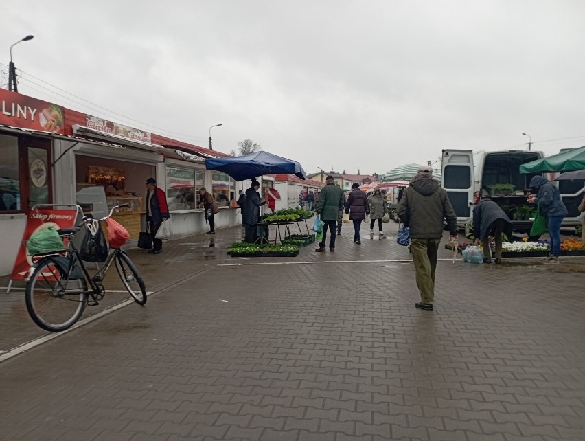 Bardzo dużym zainteresowaniem cieszyły się stoiska z...