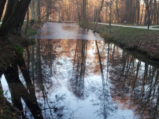 Park w Wejherowie w listopadowy mroźny dzień