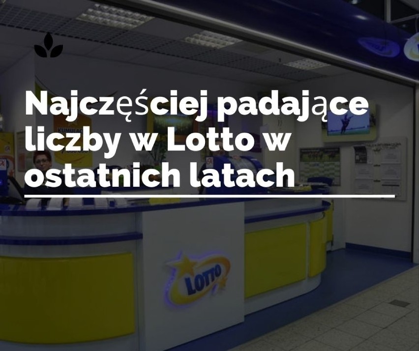 Oto najczęściej padające liczby w Lotto w ostatnich latach -...