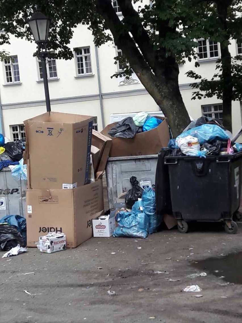 Przepełnione śmietniki w centrum Gdańska. Uprzątnięte dopiero po naszej interwencji  [ZDJĘCIA]