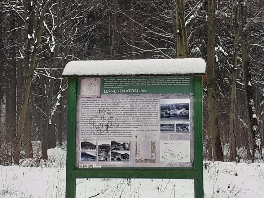 Wałbrzych: Śnieżna wycieczka w okolice góry Chełmiec
