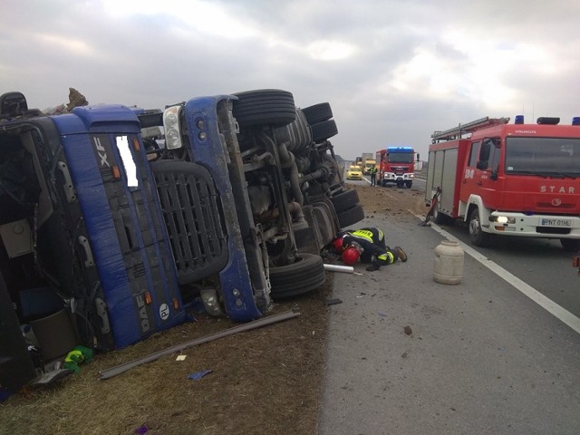 Do zdarzenia doszło ok. godziny 13. Na 122. kilometrze A2 w kierunku Poznania z drogi wypadł samochód ciężarowy z naczepą. Na miejscu działali strażacy z Kuślina, Nowego Tomyśla, pogotowie, policja i służby autostradowe. Kierowca tira został przewieziony do szpitala. 

WIĘCEJ: Powiat nowotomyski: Wypadek na autostradzie A2. Z drogi wypadł samochód ciężarowy z naczepą [ZDJĘCIA]