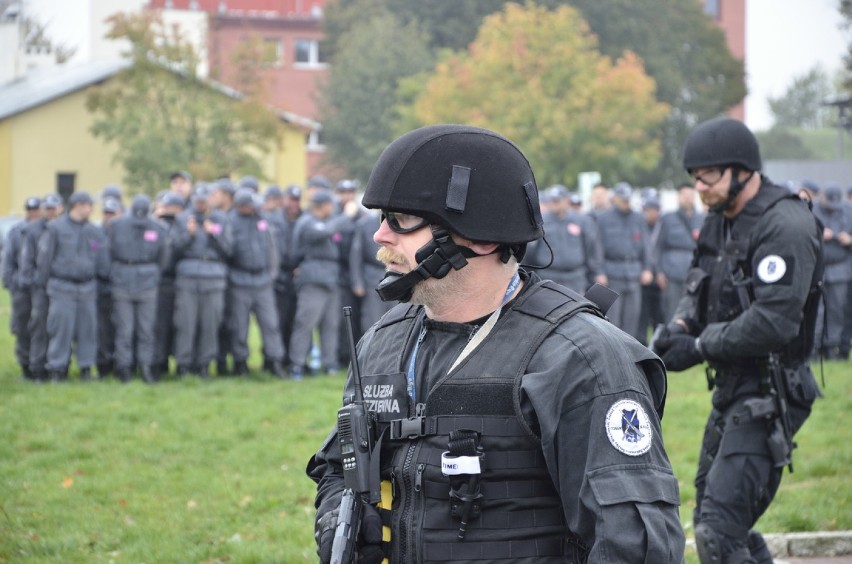 Wielkie ćwiczenia rezerwistów w Kaliszu