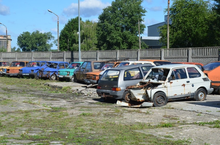 Najwięcej jest maluchów i dużych fiatów, ale jest też "ogórek"...