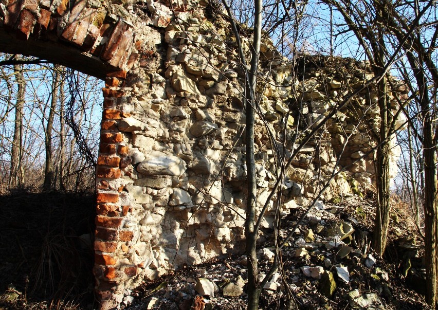 2017 rok. Ruiny wieży zamkowej w Szczebrzeszynie