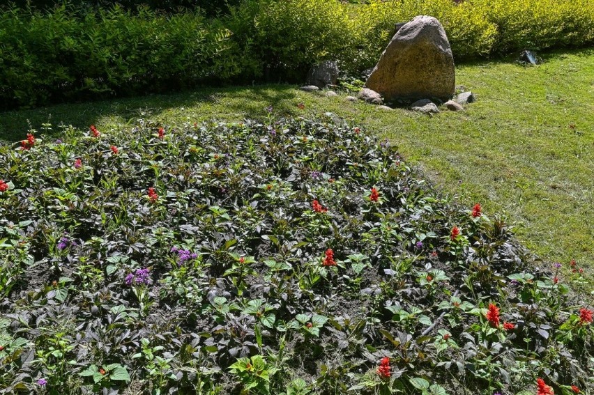 Nowe kwiaty na zieleńcach w reprezentacyjnych miejscach Sopotu. Zmiana garderoby przed wakacjami