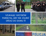 Kociewie. Policja apeluje. Szukając grzybów, nie zgub drogi do domu