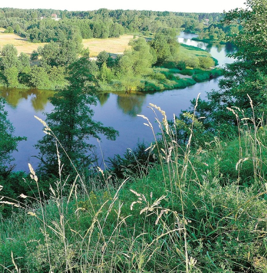 Park Krajobrazowy Międzyrzecza Warty i Widawki - widok na dolinę Warty z grodziska w Konopnicy