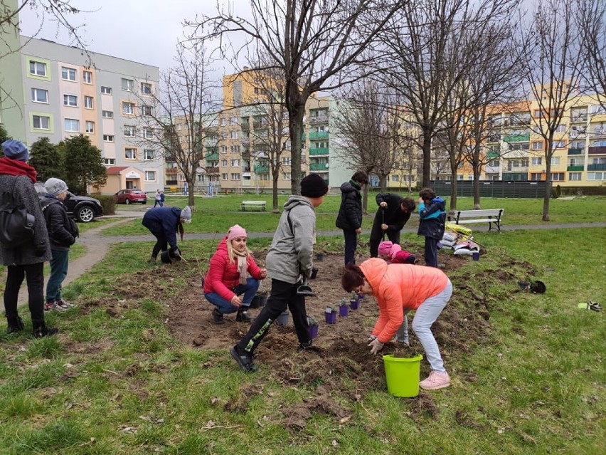 W Legnicy na Piekarach A powstał Motyli Plac ZDJĘCIA