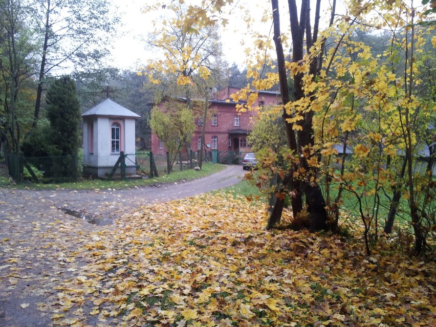 Jesień w parku Majkowskiego w Wejherowie