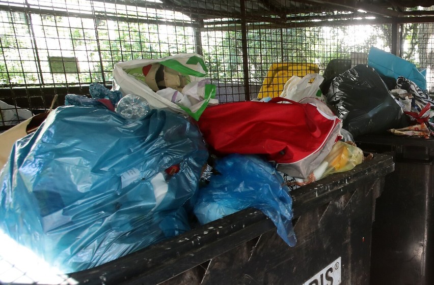 Wywóz śmieci w Szczecinie będzie droższy? "Chcemy od samorządów realnych stawek"