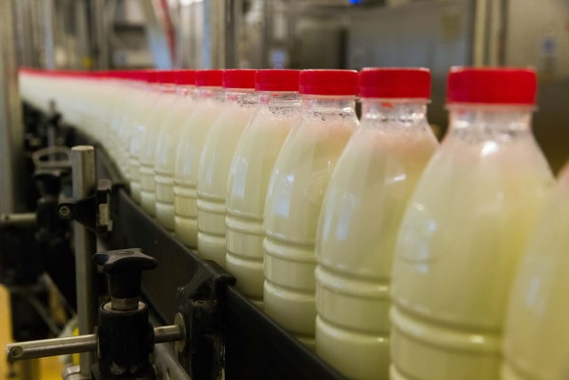 Branża mleczarska ostrzega, że ograniczenia dostaw energii do zakładów mogą doprowadzić do niedoborów mleka na polskim rynku