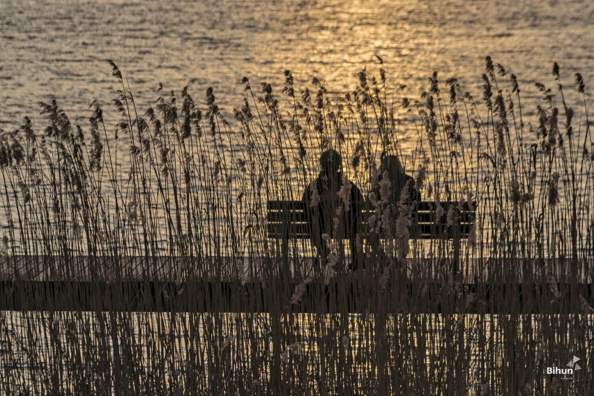 Pierwszy weekend października czas zacząć. Złotów i powiat złotowski mają sporo do zaoferowania. Zajrzyjcie do galerii