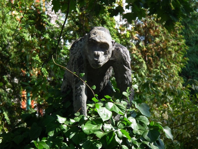 Stare Zoo w Poznaniu