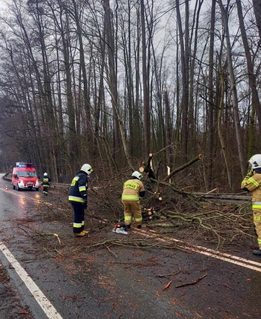 Ostrów Wielkopolski. Kilkadziesiąt interwencji strażaków w związku z usuwaniem skutków wichur [FOTO]