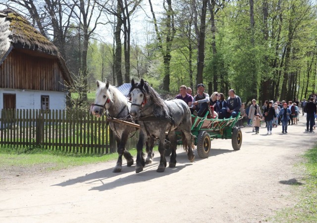 Festyn w Muzeum Wsi Radomskiej w niedzielę, 1 maja.