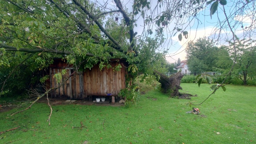 Silny podmuch wiatru powalił drzewo na dom i budynek...