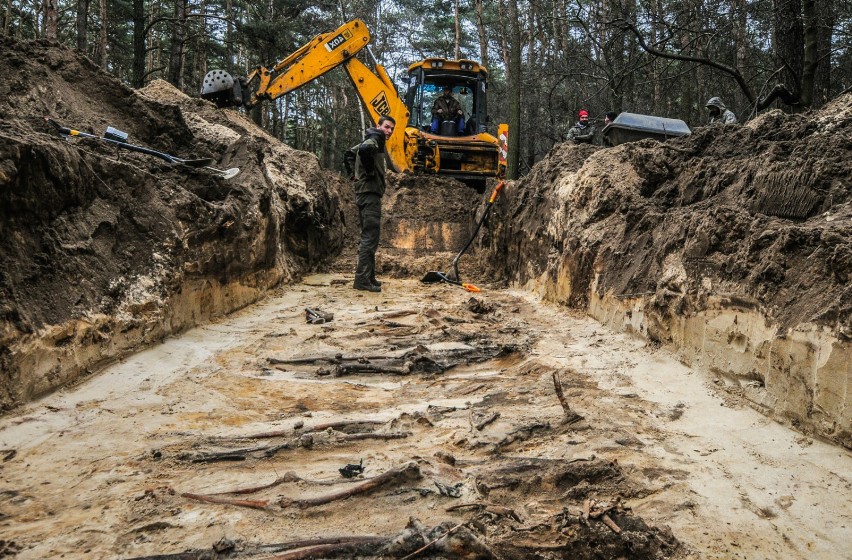 Zakończyła się druga seria ekshumacji ciał w lesie przy ul....