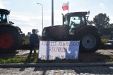 Protest rolników przeciwko "Piątce dla zwierząt" w Rychnowie Żuławskim . "To jest zamach na polskie rolnictwo"
