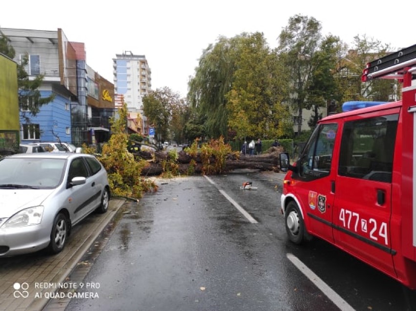 Drzewa padały na parkujące i jadące samochody. W Kołobrzegu strażacy wyjeżdżali ponad 90 razy