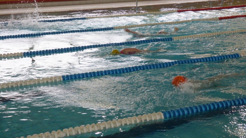 Turniej IV basenów w Bydgoszczy. Młodzi pływacy opanowali "Lagunę" [zdjęcia, wideo]