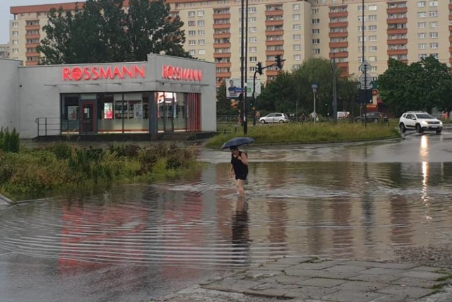 W poniedziałek (23 czerwca) w połowie powiatów województwa łódzkiego znów odnotowano deszcze. Najbardziej padało na północy i wschodzie regionu łódzkiego. Ale analiza prognoz ostrzeżeń IMGW dla regionu łódzkiego daje pewną nadzieję. CZYTAJ DALEJ NA KOLEJNYCH SLAJDACH