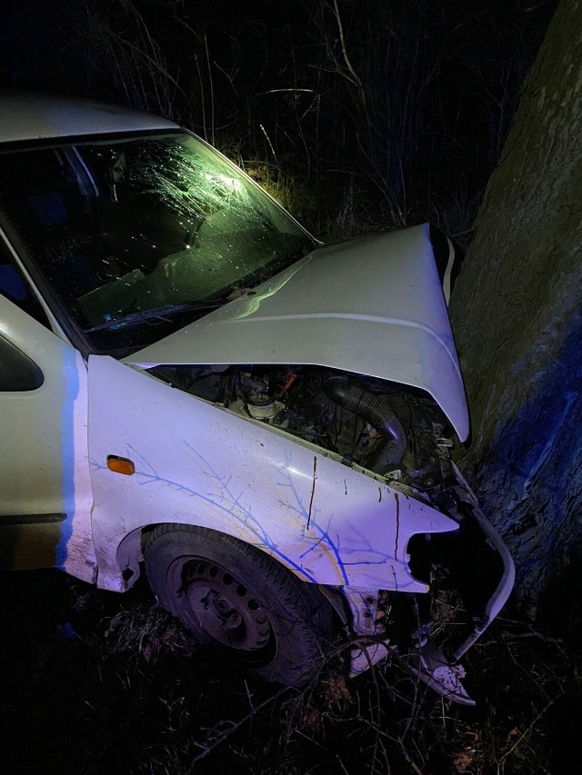 W Otmuchowie (14 marca), przy ul. Młyńskiej samochód osobowy wypadł z drogi i uderzył w drzewo.