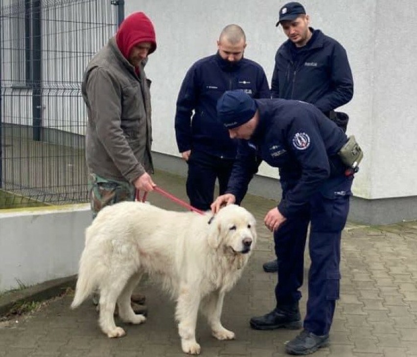 Małżeństwo - policjanci z Gdyni pomogli uratować psa