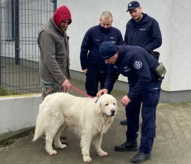 Małżeństwo - policjanci z Gdyni pomogli uratować psa