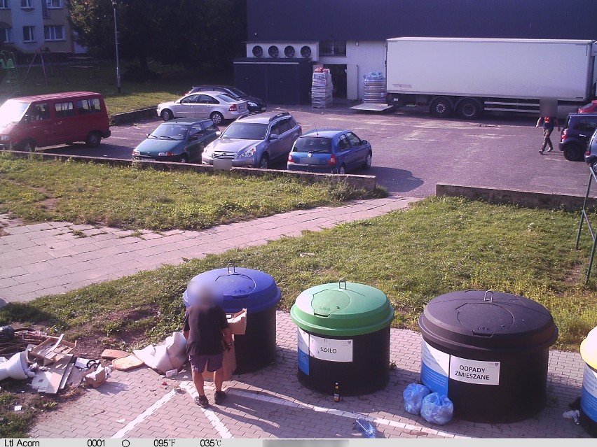 To oni podrzucają śmieci w mieście! Zobaczcie kogo złapały fotopułapki Straży Miejskiej w Koszalinie 