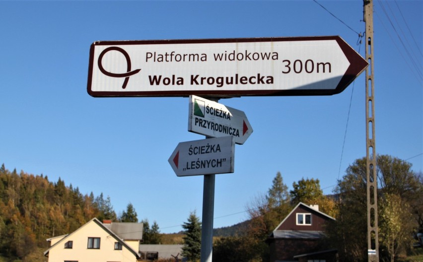 Wola Krogulecka. Platforma widokowa to znakomite miejsce na jesienny relaks [ZDJĘCIA]