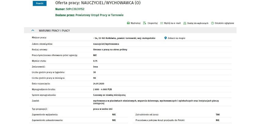 Tarnów. TOP 15 najlepszych aktualnych ofert pracy w pośredniaku. Zobacz, ile pracodawcy oferują w Tarnowie