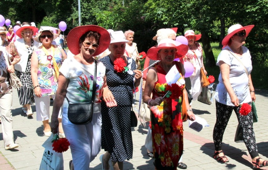 Dzień Seniora 2017 w Dąbrowie Górniczej