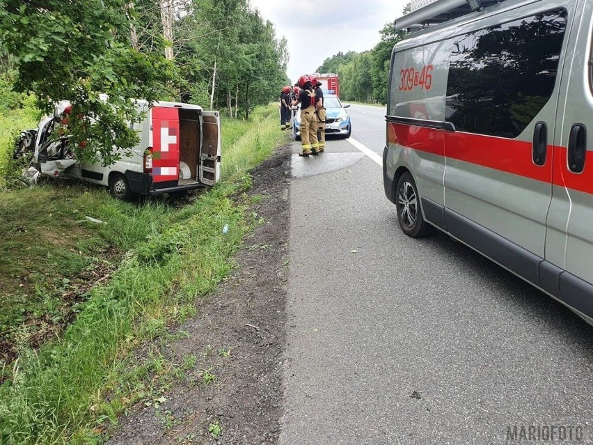 Wypadek w Osowcu. Kierowca kurierskiego busa uderzył w drzewo. Jest ranny [ZDJĘCIA]