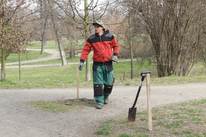 Zakaz wstępu do parku w Legnicy, wejścia zabezpieczono taśmami [ZDJĘCIA]
