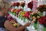 Święto Róż w Końskowoli. Ponad 100 rodzajów kwiatów na dwudziestej rocznicy imprezy (ZDJĘCIA)